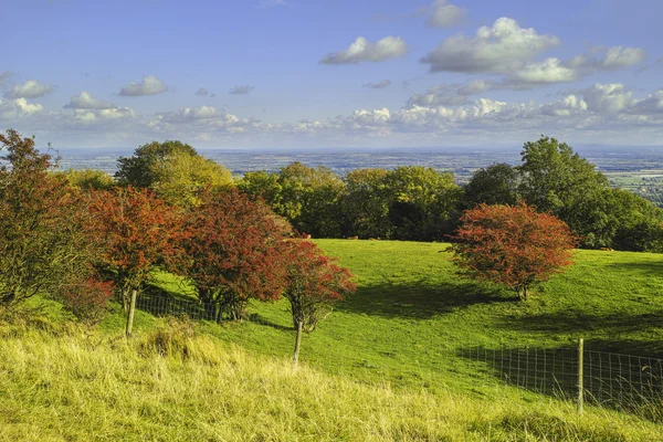 Veld — Stockfoto