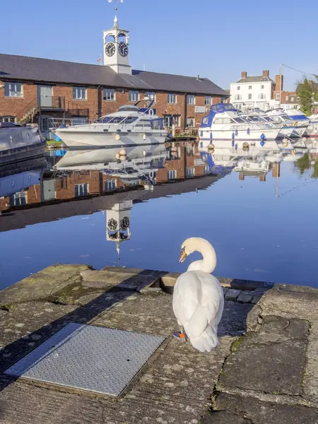 Stourport — Stock fotografie