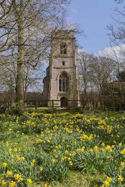 Église paroissiale — Photo