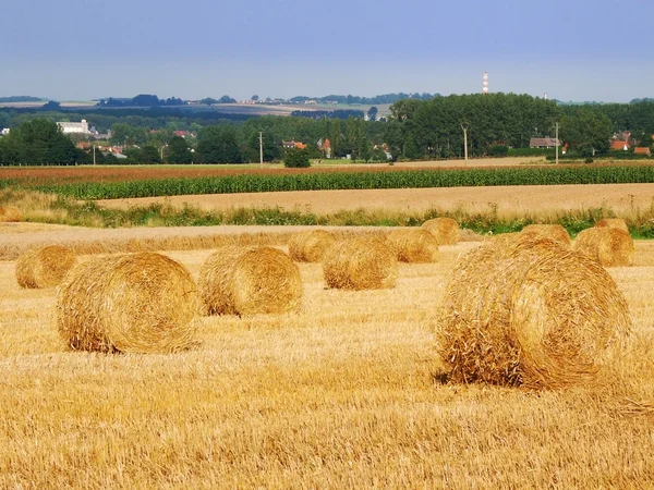 Hay bales — Stock Photo, Image