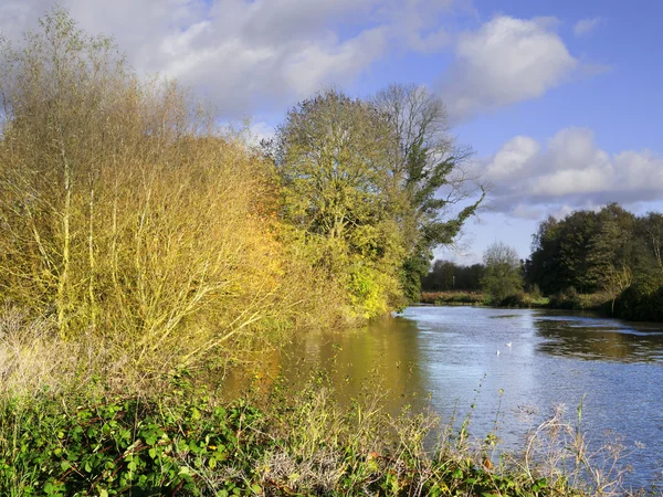 River avon warwick — Stock Photo, Image