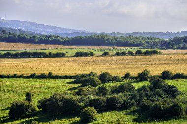 South Downs