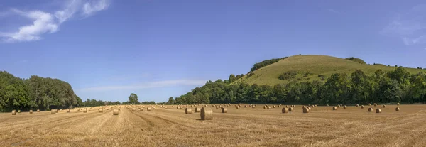 South Downs — Stockfoto