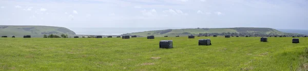 Hay bales — Stock Photo, Image