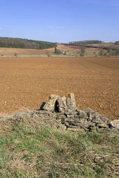 Veld — Stockfoto