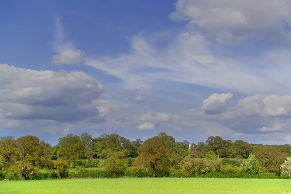 Feld — Stockfoto