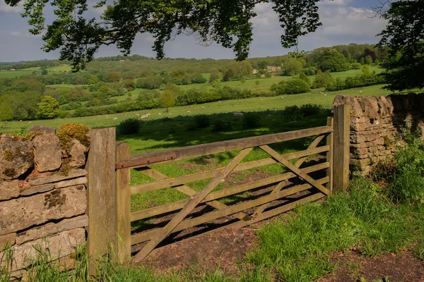 Campo — Fotografia de Stock