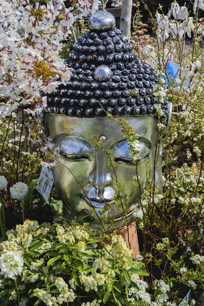 Cabeça de um Buda — Fotografia de Stock