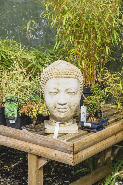 Bir Buda'nın başkanı — Stok fotoğraf