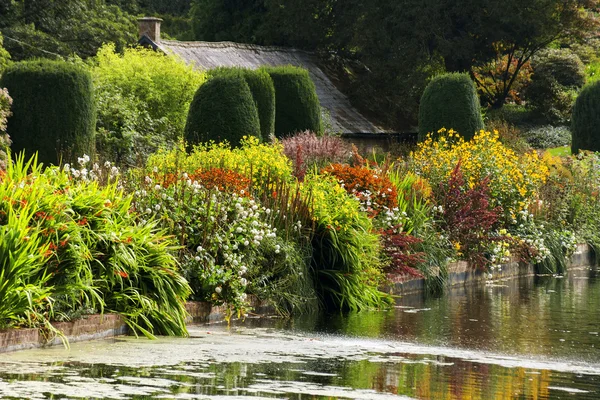 Garden — Stock Photo, Image