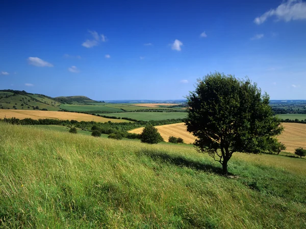 Landgoed — Stockfoto