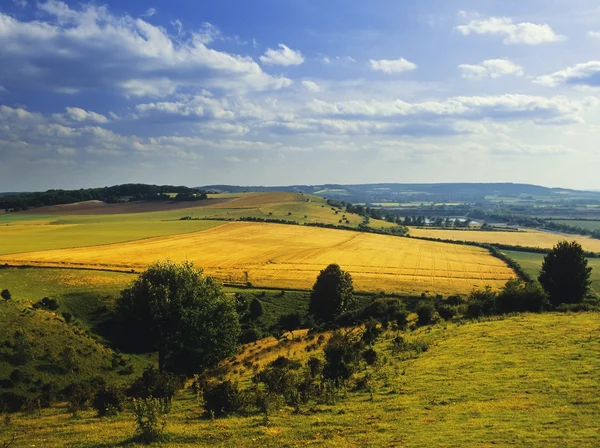 Chilterns — Stockfoto