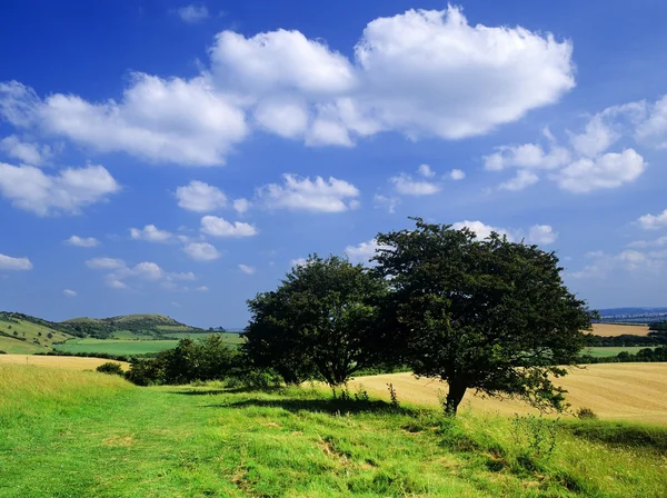 Finca del país — Foto de Stock