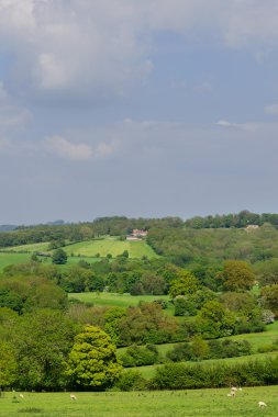 vadi