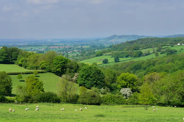 Valley — Stock Photo, Image