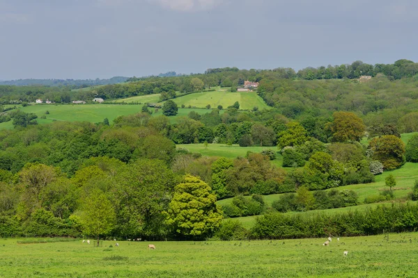 Valley — Stock Photo, Image