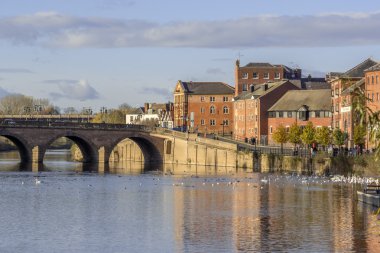 Worcester