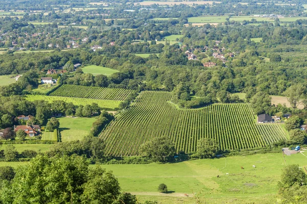 South Downs — Zdjęcie stockowe