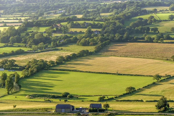 South Downs — Stockfoto