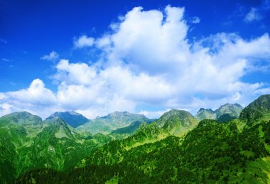 Fransız alps