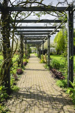 Pergola