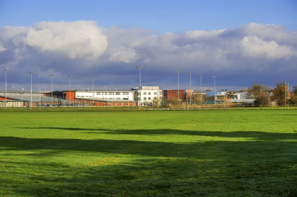 Groen veld in park Engeland — Stockfoto