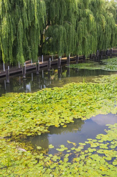 Stratford... — Fotografia de Stock