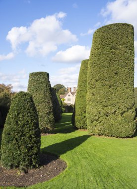 eski duvarlı Elizabeth Bahçe