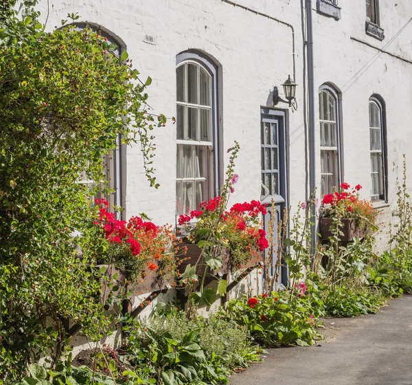 Cabañas con flores en frente — Foto de Stock