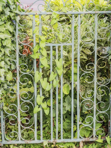 Metal gate in garden — Stock Photo, Image