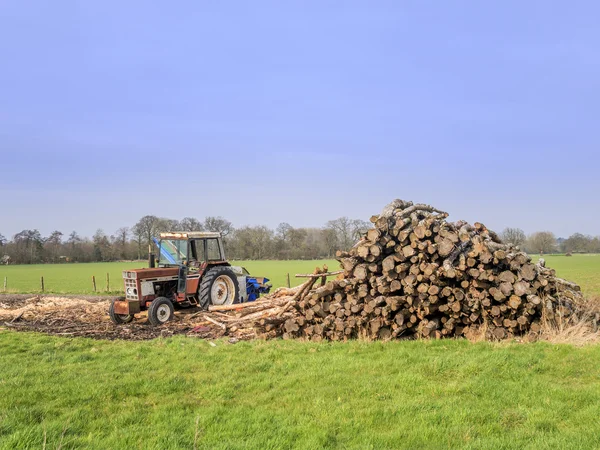 Piles of Timber stacked in a field with Tractor — Stock Photo, Image