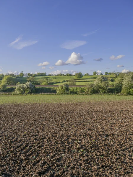 Een veld in het platteland — Stockfoto