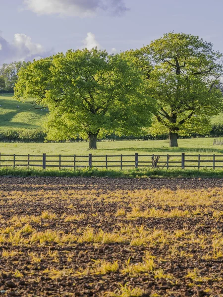 Ett fält på landsbygden — Stockfoto