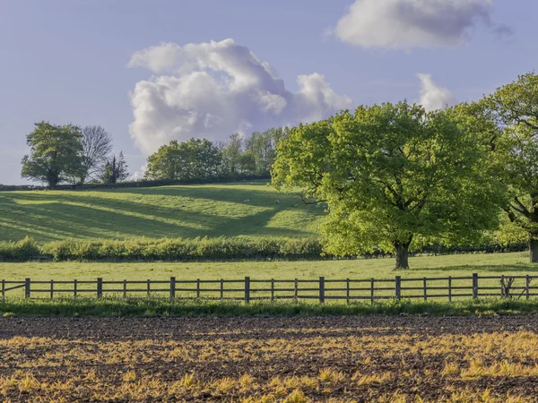 Ein Feld auf dem Land — Stockfoto
