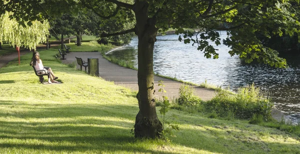 Grüner Sommerpark — Stockfoto