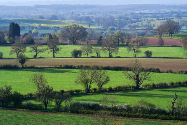 Engelse cotswolds platteland — Stockfoto