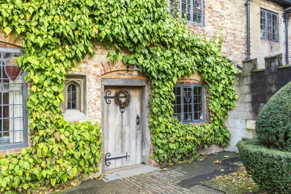 Antik Bina kapısı Ivy ile — Stok fotoğraf