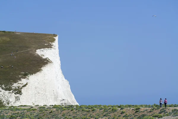 Cliffs at beach — Stock Photo, Image