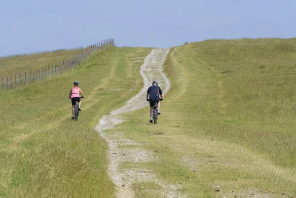 South Downs — Zdjęcie stockowe