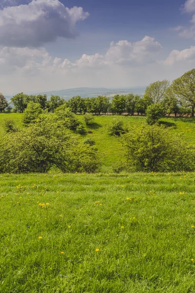 Ein Feld auf dem Land — Stockfoto