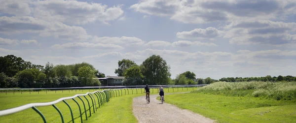 Country road — Stock Photo, Image