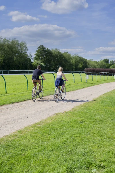 Country road — Stock Photo, Image