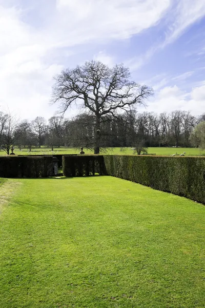 Gazon van een statig huis — Stockfoto