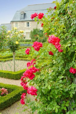 Chteau de Villandry Fransa 'nın Indre-et-Loire şehrinde Villandry' de bulunan büyük bir kır evidir. Özellikle güzel bahçeleriyle tanınır..