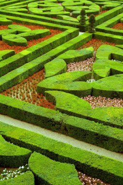 Chteau de Villandry Fransa 'nın Indre-et-Loire şehrinde Villandry' de bulunan büyük bir kır evidir. Özellikle güzel bahçeleriyle tanınır..