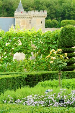 Chteau de Villandry Fransa 'nın Indre-et-Loire şehrinde Villandry' de bulunan büyük bir kır evidir. Özellikle güzel bahçeleriyle tanınır..