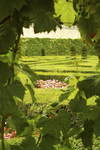 드빌란 Chteau Villandry 프랑스빌란 드리에 대규모 주택이다 아름다운 정원으로 유명하다 — 스톡 사진