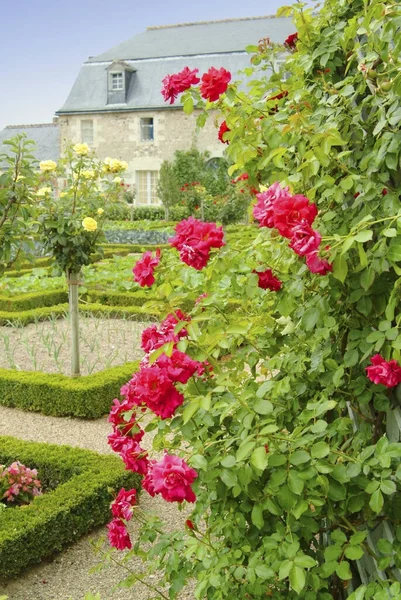 Chteau Villandry Wielki Wiejski Dom Położony Villandry Departamencie Indre Loire — Zdjęcie stockowe