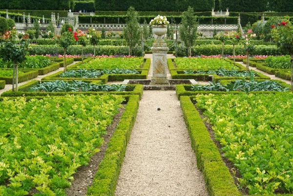 Chteau Villandry Fransa Nın Indre Loire Şehrinde Villandry Bulunan Büyük — Stok fotoğraf