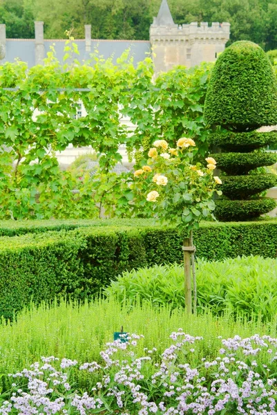 Chteau Villandry Velký Venkovský Dům Nachází Villandry Departementu Indre Loire — Stock fotografie